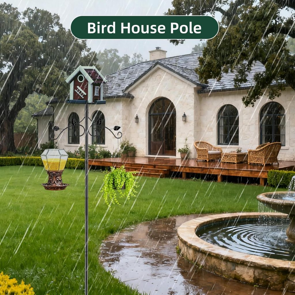 Bird Feeders 5 BirdFeeders 1