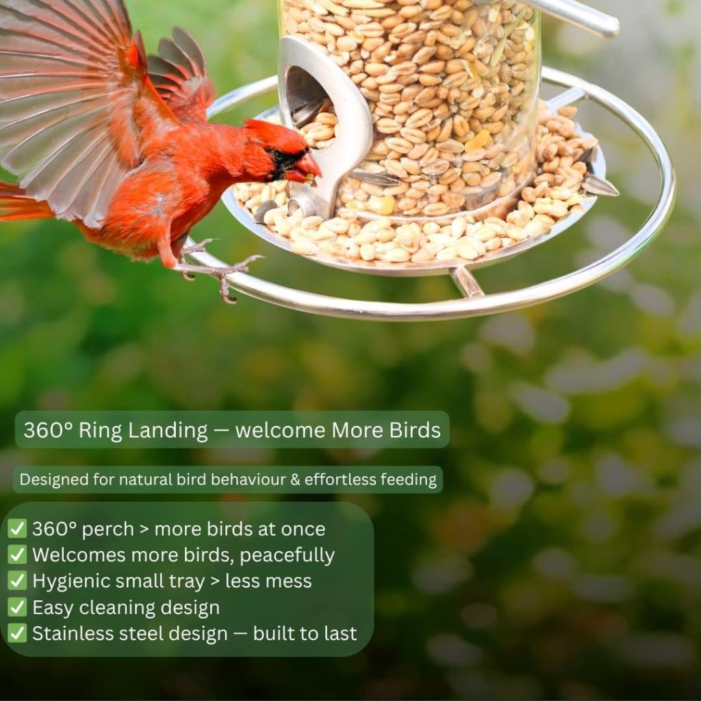 HEAVY DUTY Stainless Steel Metal Bird Feeder is it worth it Full review 2
